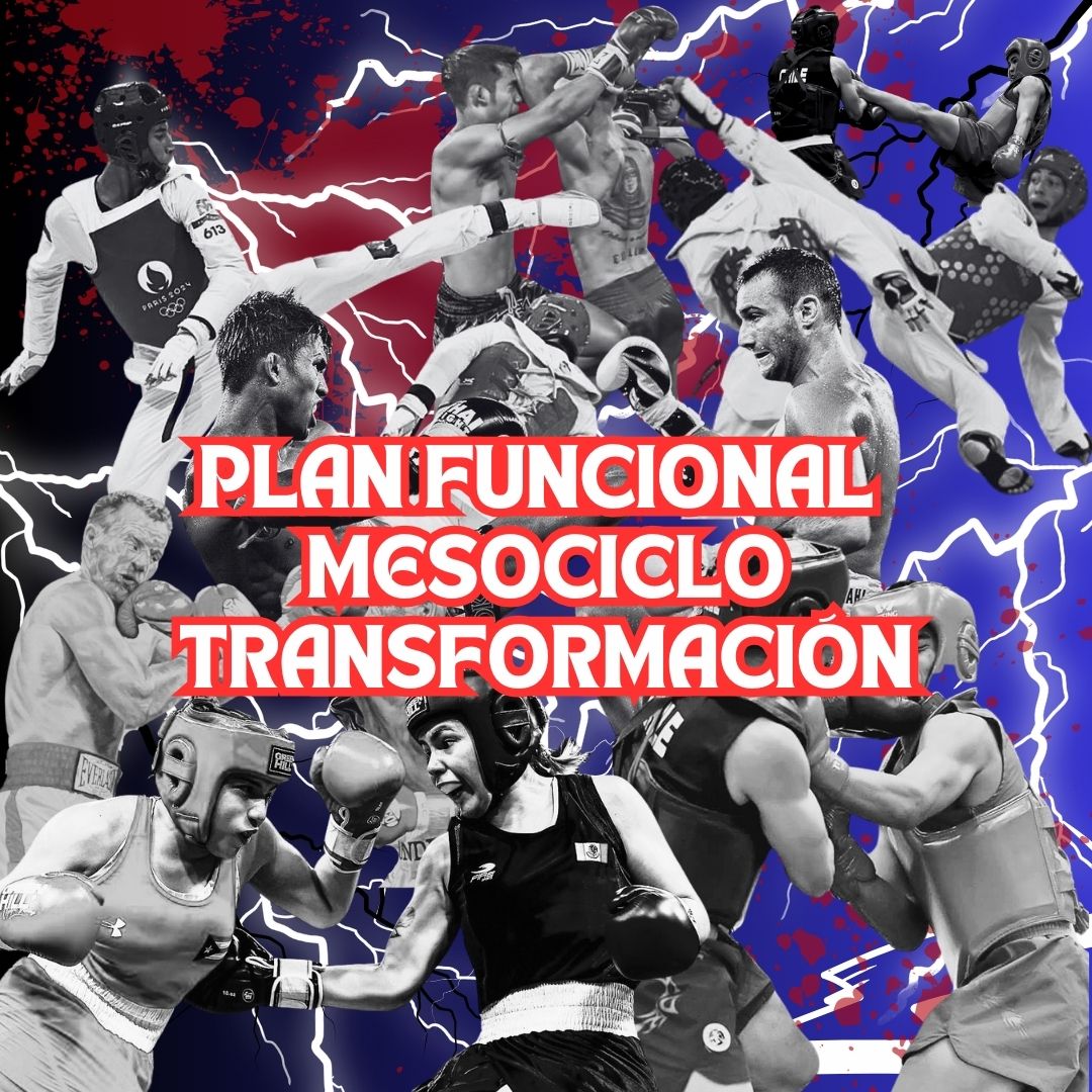 Plan intermedio (mesociclo trasformación) funcional para deportes de contacto tipo de percusión