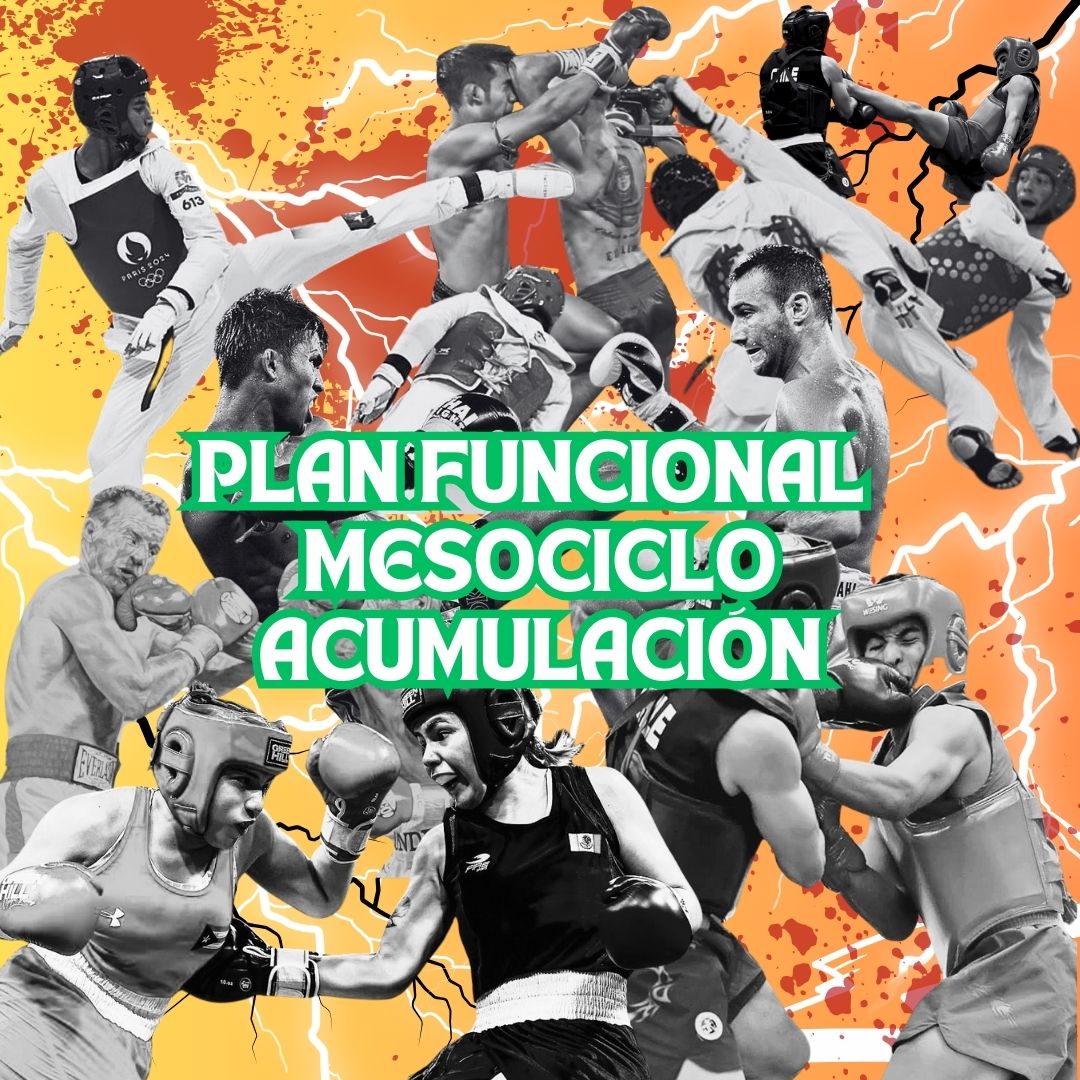 Plan básico (mesociclo acumulación) funcional para deportes de contacto tipo de percusión