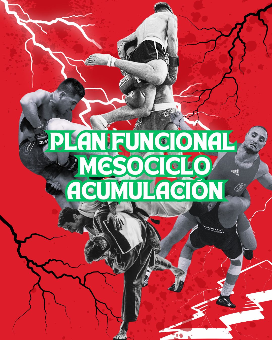 Plan básico(mesociclo acumulación) funcional para deportes de contacto tipo de dominio
