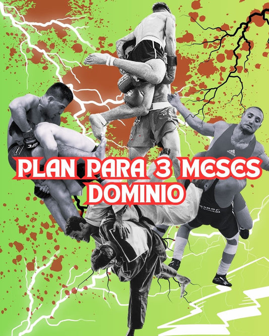 Plan trimestral (para tres meses consecutivos) para deportes de contacto de tipo Dominio