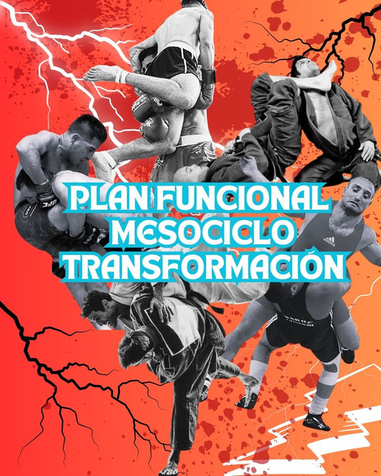 Plan intermedio (mesociclo trasformación) funcional para deportes de contacto tipo de dominio